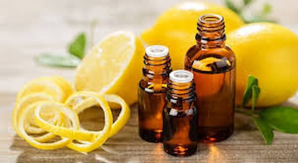 تصویر 5 از قیمت خرید روغن ارگانیک مشهد با فروش عمده